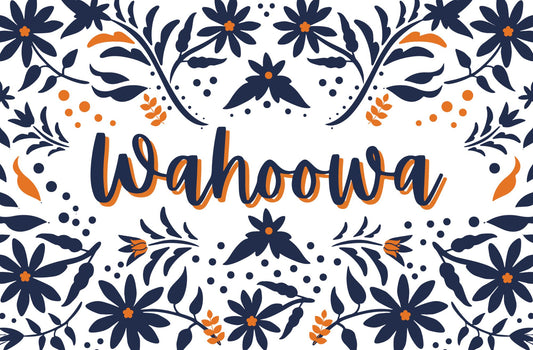 UVA Virginia Wahoowa Paper Placemats