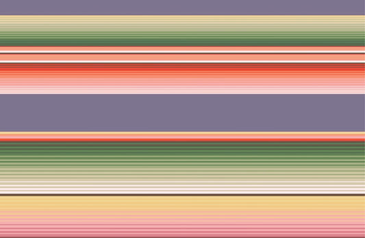 Everyday paper placemats- Vintage Serape